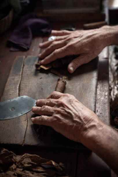istock Cigar rolling or making by torcedor in cuba, Pinar del rio province 1159399775