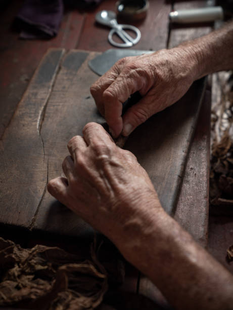 istock Cigar rolling or making by torcedor in cuba, Pinar del rio province 1159399826