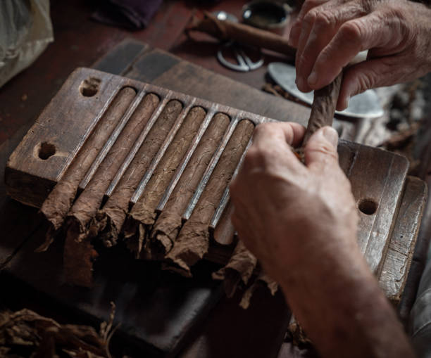 istock Cigar rolling or making by torcedor in cuba, Pinar del rio province 1159399925
