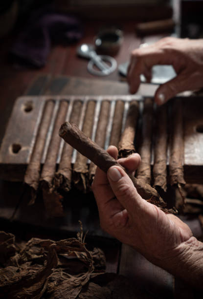 istock Cigar rolling or making by torcedor in cuba, Pinar del rio province 1159400035