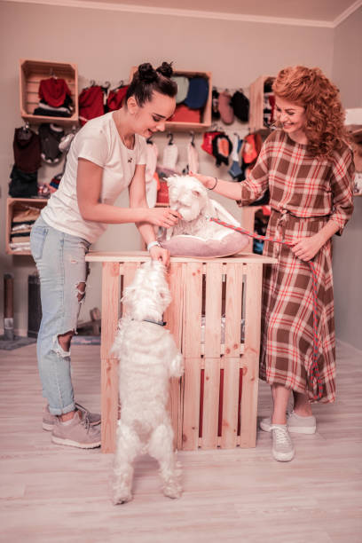 istock Red-haired woman joining her friend while playing with dogs 1159400680
