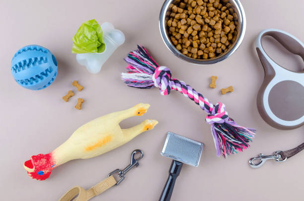 ペット、リード、おもちゃと櫛の乾燥食品 - domestic cat bag shopping gift ストックフォトと画像