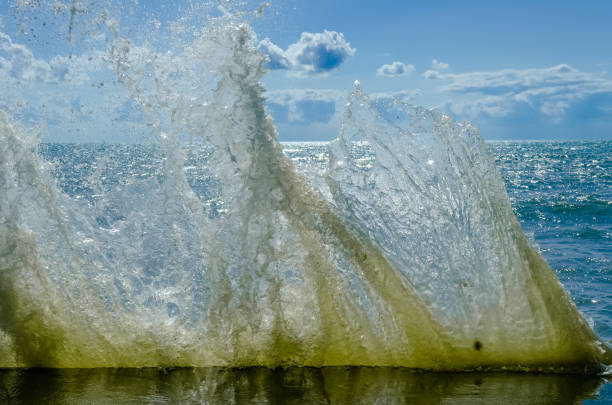 istock Splashing wave on the Black sea. 1159401524