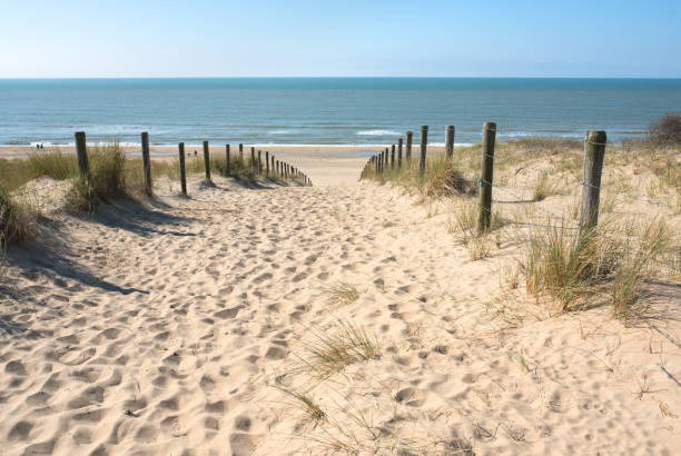 istock Sand dune to the beach 1159402554