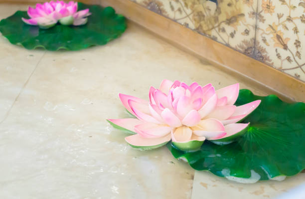 Two pink lotus flowers with green leaves on water in fountain