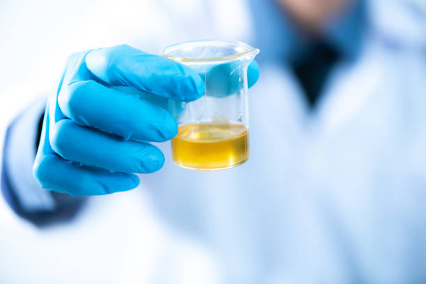 the scientist test the natural product extract, oil and biofuel solution, in the chemistry laboratory. - biodiesel imagens e fotografias de stock