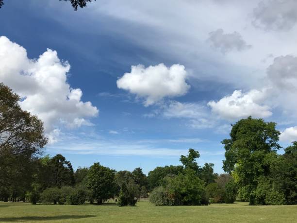 istock Sunny day in the Prado of Montevideo 1159408583