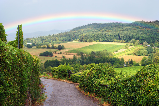 Rainbow above landscape