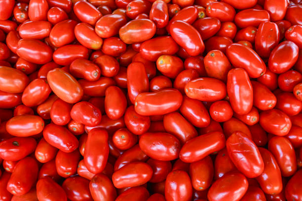istock Fresh tomatoes on the market. Texture 1159410269