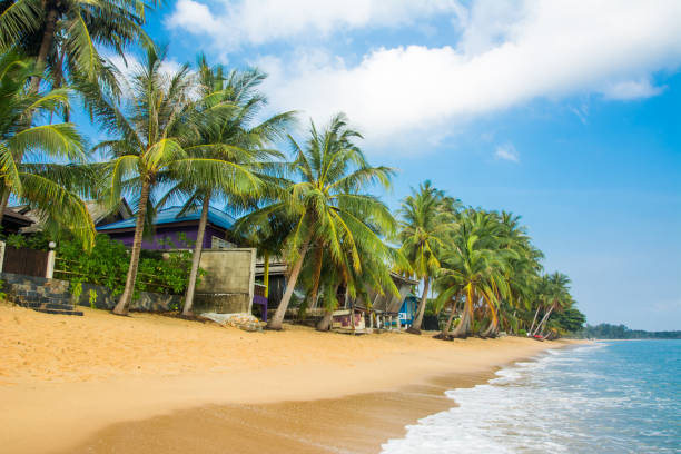 istock Long Samui MaeNam morning beach with coconut palms under sky. Happy vacation, relaxation, idyllic landscape 1159410663