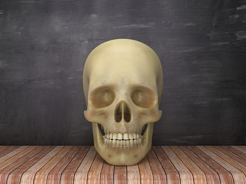 Human Skull on Chalkboard Background - 3D Rendering