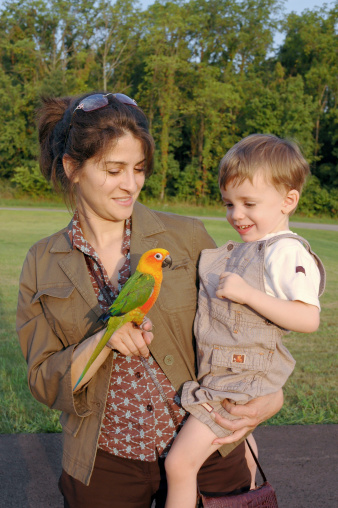 An aunt shows her nephew a parrot.