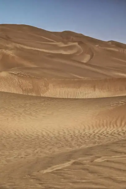 Moving sand dunes cover the surface of the Taklamakan Desert forming chains of these eolian topographic forms-some of them reaching up to 300 ms.high. Yutian Keriya county-Xinjiang Uyghur region-China