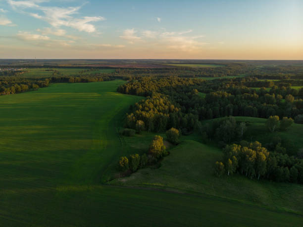 istock Top aerial view of green fields and meadows 1159413355