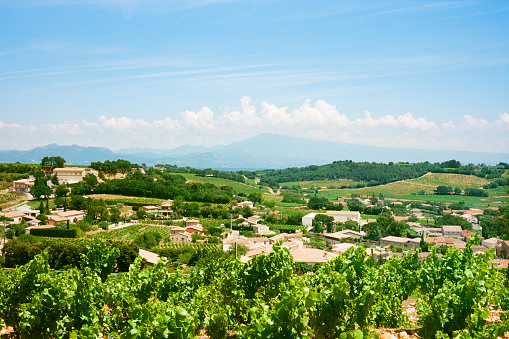 Picturesque scenery of Châteauneuf-du-Pape, Provence, France