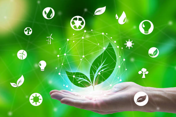 istock Hand holding with leaf and environment icons over the Network connection on nature background, Technology ecology concept. environment concept 1159416582