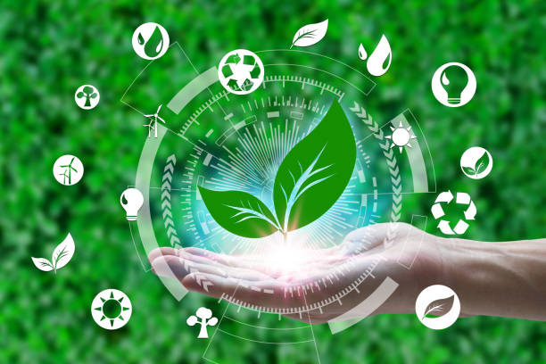 istock Hand holding with leaf and environment icons over the Network connection on nature background, Technology ecology concept. environment concept 1159416587