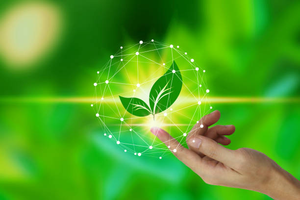 istock Finger touch with leaf icon over the Network connection on nature background, Technology ecology concept. environment concept 1159416604