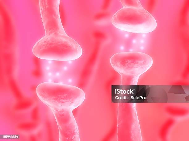 アクティブレセプター - ホルモンのストックフォトや画像を多数ご用意 - ホルモン, 受容器官, カラー画像