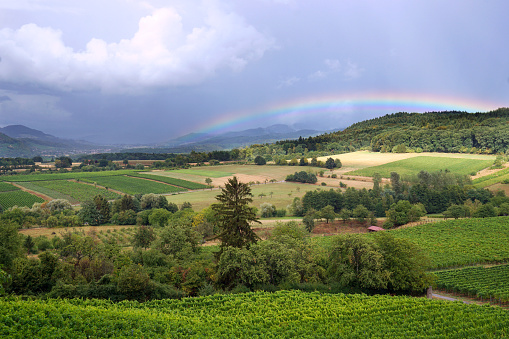 Rainbow above landscape