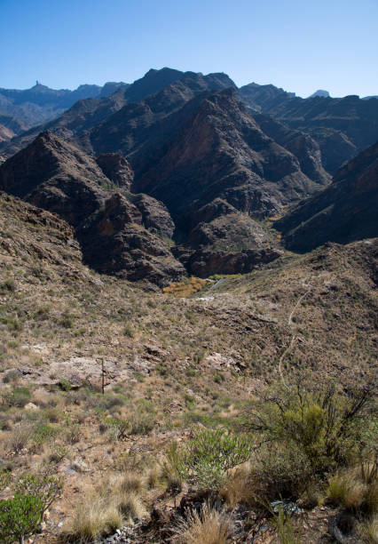 istock view from Mirador Del Molino 1159418483