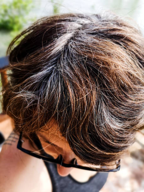 Middle Aged Woman With Gray Hair Showing The Top Of Her Head Stock Photo - Download Image Now - iStock Middle Aged Woman With Gray Hair Showing The Top Of Her Head Stock Photo - Download Image Now - iStock