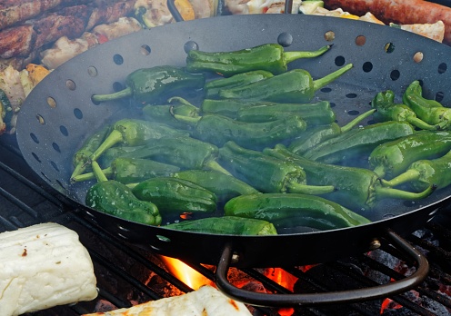 Variety on the grill, Pimientos de padron, bratwurst, grilled cheese and meat splendor