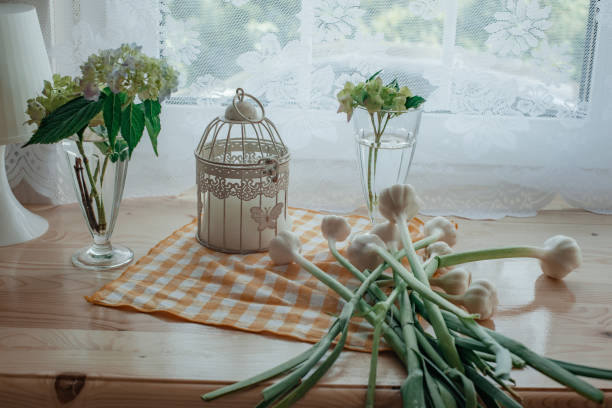 Life in cottadge. Still life. Plants.