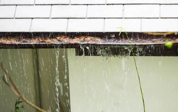 Close up of rain gutter clogged with dried fall leaves during the rain. Shingles and gutter with dry brown leaves. Home roof maintenance problem with debris