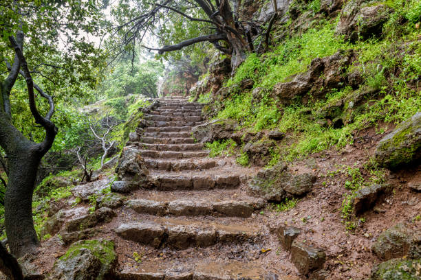 istock banias national park israel 1159431022
