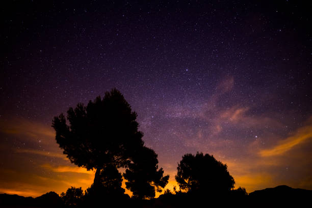 istock Starry night in the mountain 1159431227