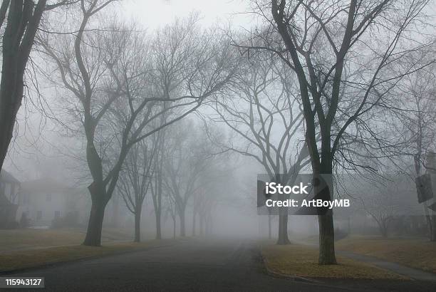 霧の Street - かすみのストックフォトや画像を多数ご用意 - かすみ, アスファルト, カッコいい