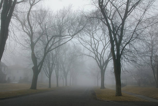 istock Foggy Street 115943127