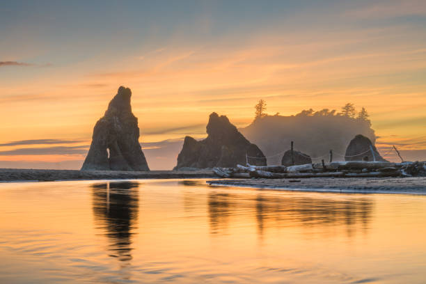 istock Olympic National Park, Washington, USA 1159433226