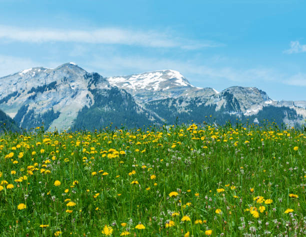 istock idyllic landscape of Swiss 1159437070