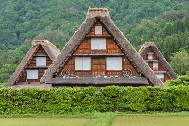 istock Farm house in Japan 1159437122
