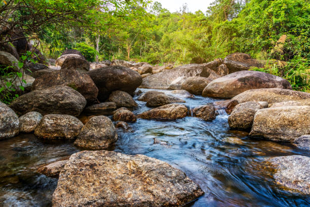 istock River stone and tree colorful, View water river tree in forest 1159438306