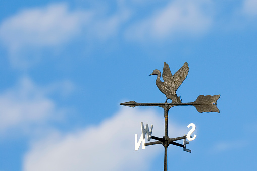 Weather vane on top of a building