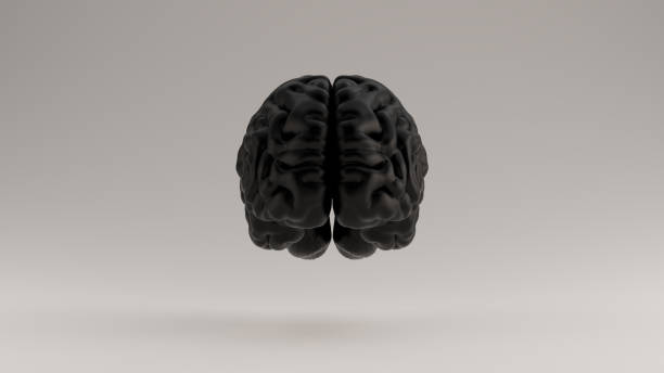 brain black futuristic artificial intelligence front view - parietal lobe imagens e fotografias de stock