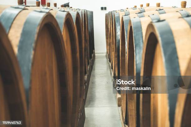 Oak Barrels In The Cellar Filled With Brandy Stock Photo - Download Image Now - Aging Process, Alcohol - Drink, Barrel