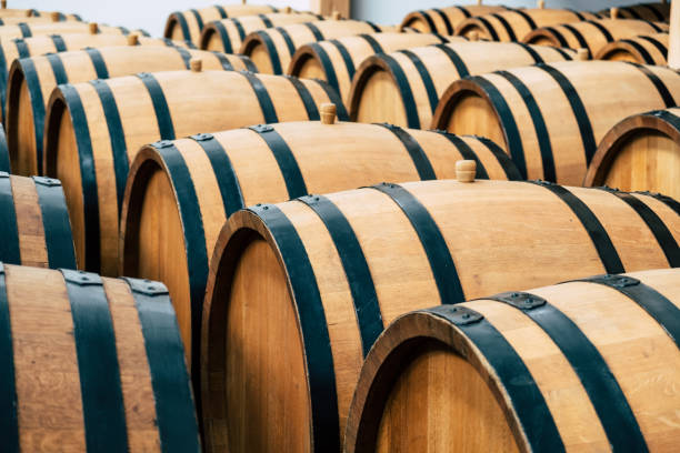 istock Oak barrels in the cellar filled with brandy 1159440800