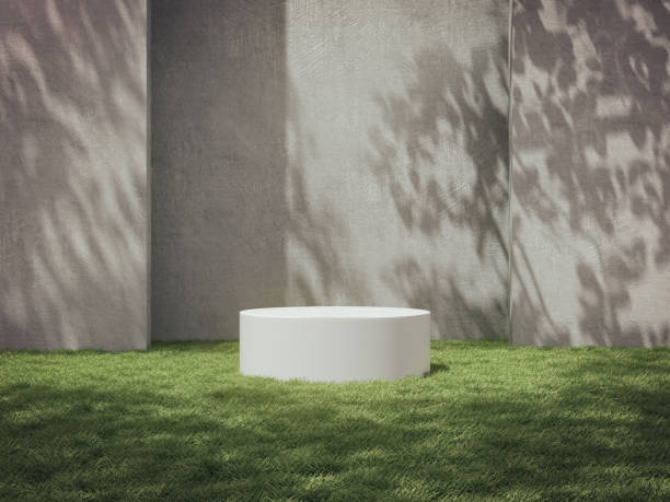 istock Pedestal for display,Platform for design,Blank product stand on lawn with Trees shadow on the wall .3D rendering. 1159441738