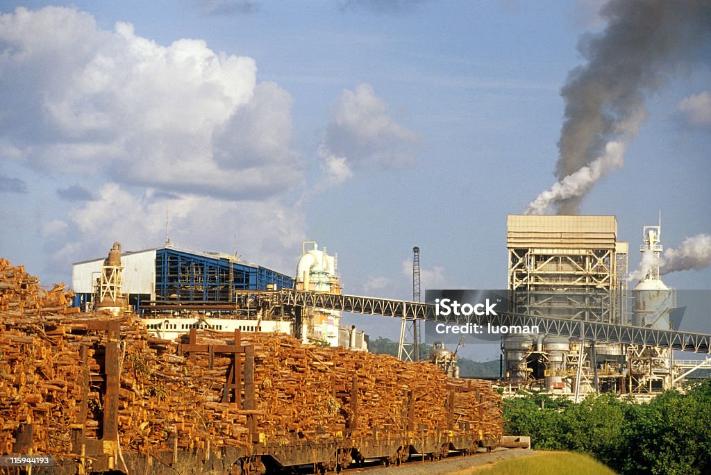 Industrie de l'Amazonie - Photo de Apprenti libre de droits