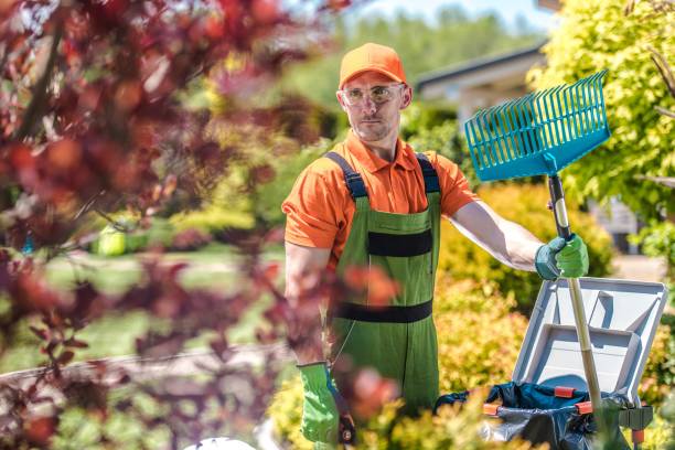 istock Caucasian Gardener with Rake 1159443050