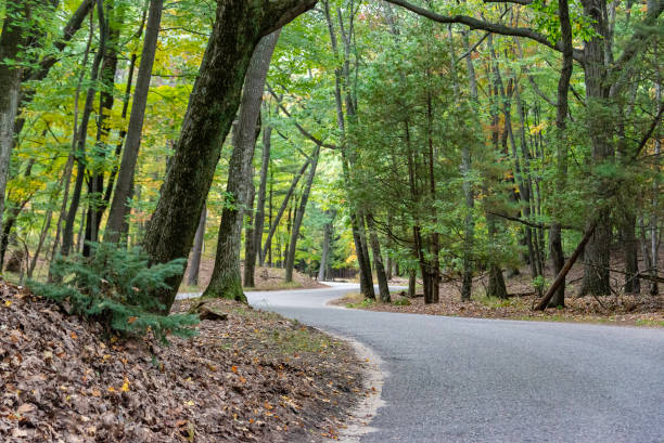 ludington state park, michigan - country road winding road road michigan imagens e fotografias de stock