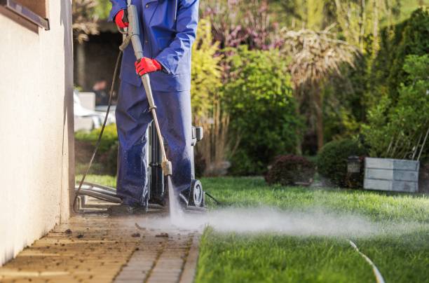 istock House Surroundings Maintenance 1159443741