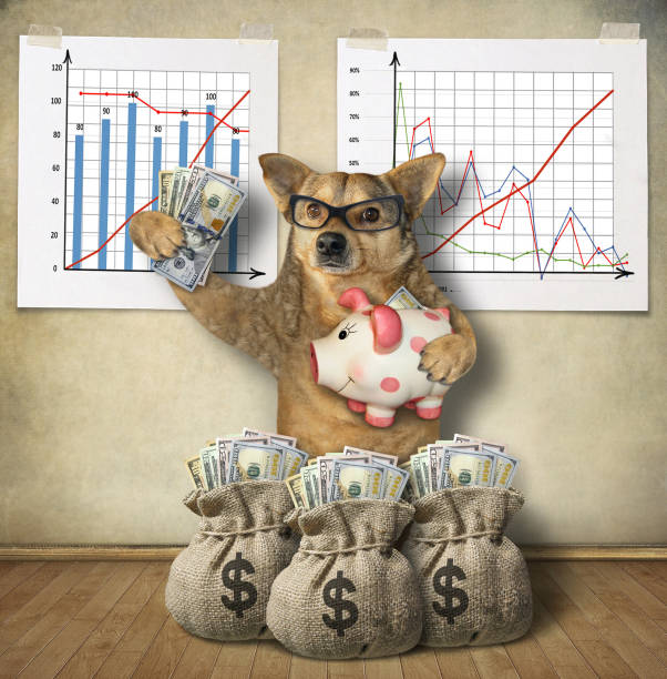 istock Dog financier with a piggy bank 1159445189