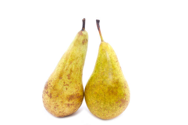 istock Beautiful, juicy, yellow pear isolated on white background 1159447510
