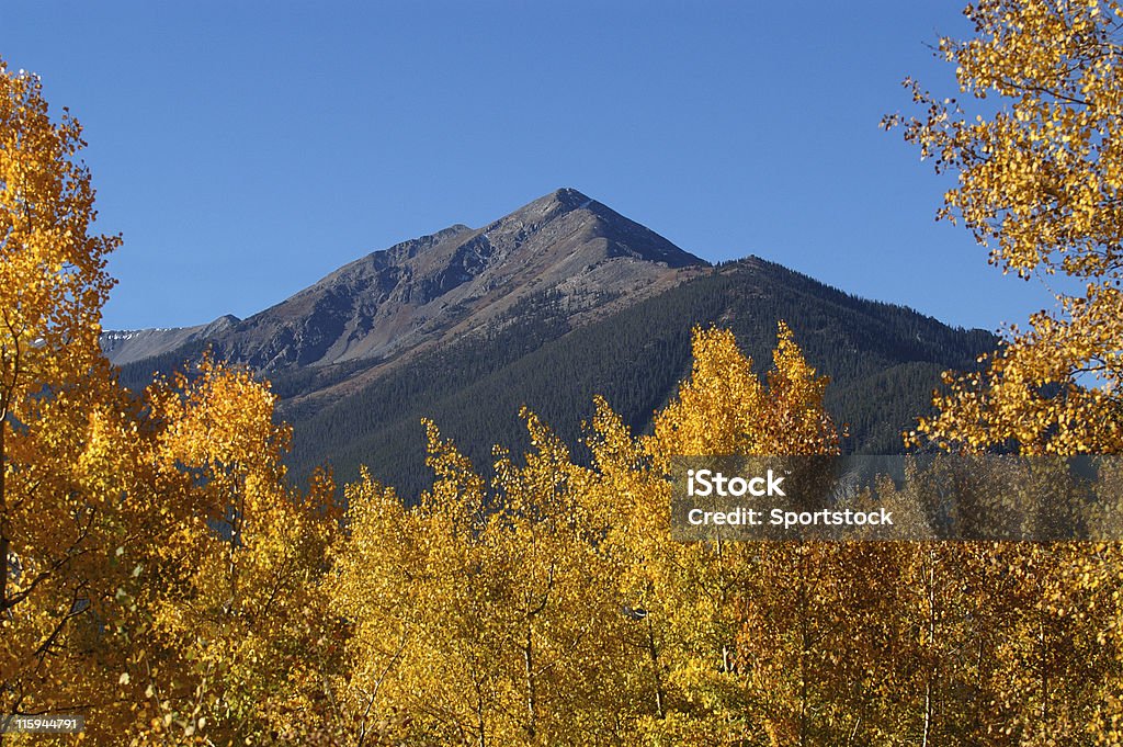 Montagnes du Colorado agrémentée de Trembles en automne - Photo de Arbre libre de droits