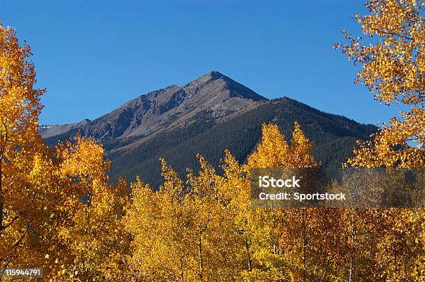 Photo libre de droit de Montagnes Du Colorado Agrémentée De Trembles En Automne banque d'images et plus d'images libres de droit de Arbre